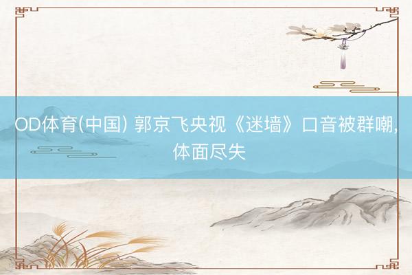 OD体育(中国) 郭京飞央视《迷墙》口音被群嘲, 体面尽失