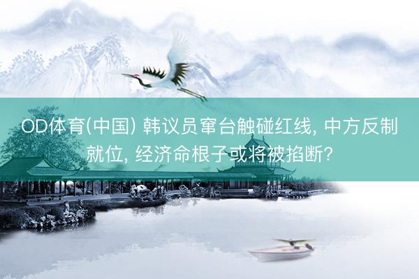 OD体育(中国) 韩议员窜台触碰红线, 中方反制就位, 经济命根子或将被掐断?