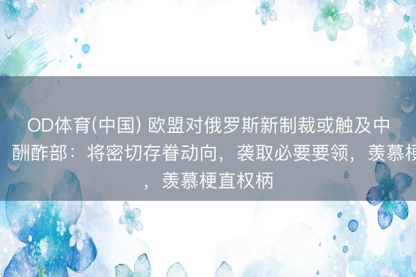 OD体育(中国) 欧盟对俄罗斯新制裁或触及中国企业，酬酢部：将密切存眷动向，袭取必要要领，羡慕梗直权柄