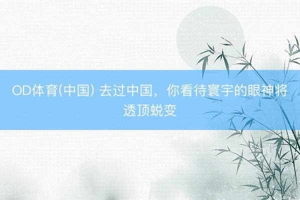 OD体育(中国) 去过中国，你看待寰宇的眼神将透顶蜕变