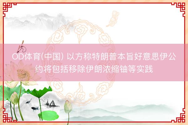 OD体育(中国) 以方称特朗普本旨好意思伊公约将包括移除伊朗浓缩铀等实践