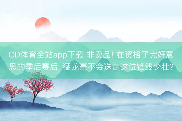 OD体育全站app下载 非卖品! 在资格了完好意思的季后赛后, 猛龙毫不会送走这位锋线少壮?