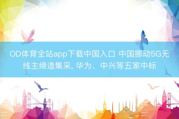 OD体育全站app下载中国入口 中国挪动5G无线主缔造集采, 华为、中兴等五家中标
