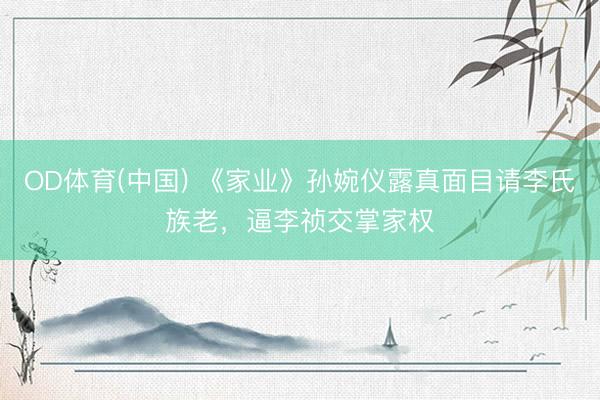 OD体育(中国) 《家业》孙婉仪露真面目请李氏族老，逼李祯交掌家权