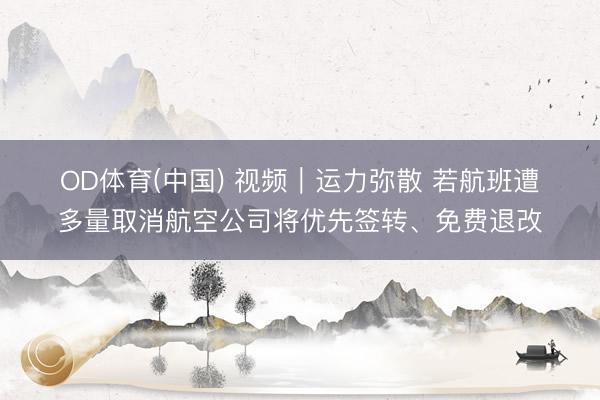 OD体育(中国) 视频｜运力弥散 若航班遭多量取消航空公司将优先签转、免费退改