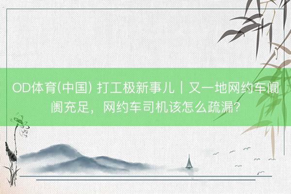 OD体育(中国) 打工极新事儿｜又一地网约车阛阓充足，网约车司机该怎么疏漏？