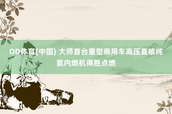 OD体育(中国) 大师首台重型商用车高压直喷纯氨内燃机得胜点燃
