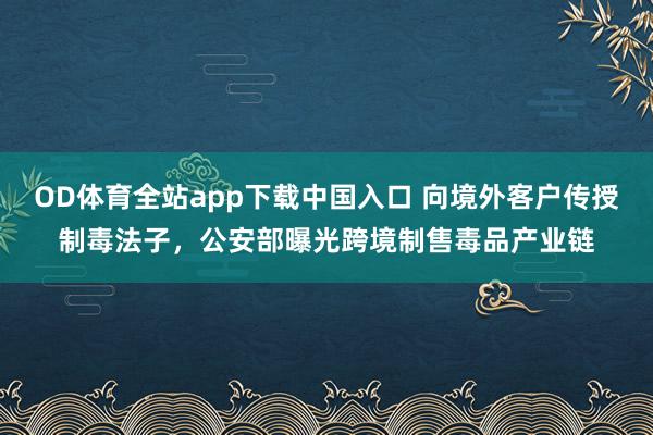 OD体育全站app下载中国入口 向境外客户传授制毒法子，公安部曝光跨境制售毒品产业链