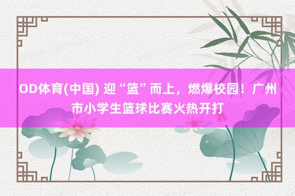 OD体育(中国) 迎“篮”而上，燃爆校园！广州市小学生篮球比赛火热开打