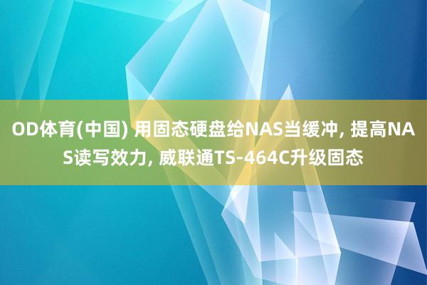 OD体育(中国) 用固态硬盘给NAS当缓冲, 提高NAS读写效力, 威联通TS-464C升级固态