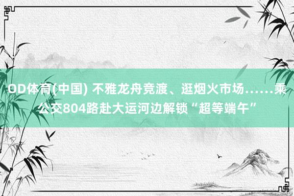 OD体育(中国) 不雅龙舟竞渡、逛烟火市场……乘公交804路赴大运河边解锁“超等端午”